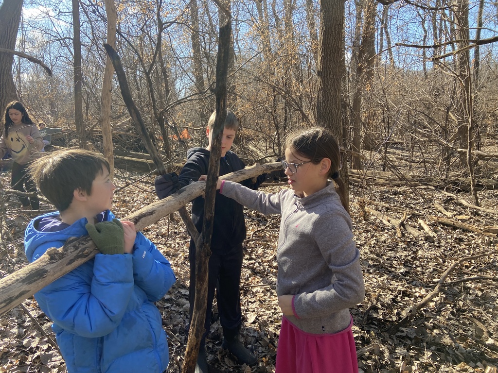 students build with branches