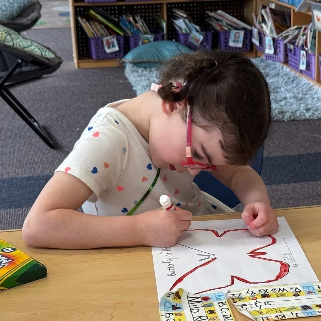 kindergartner draws butterfly