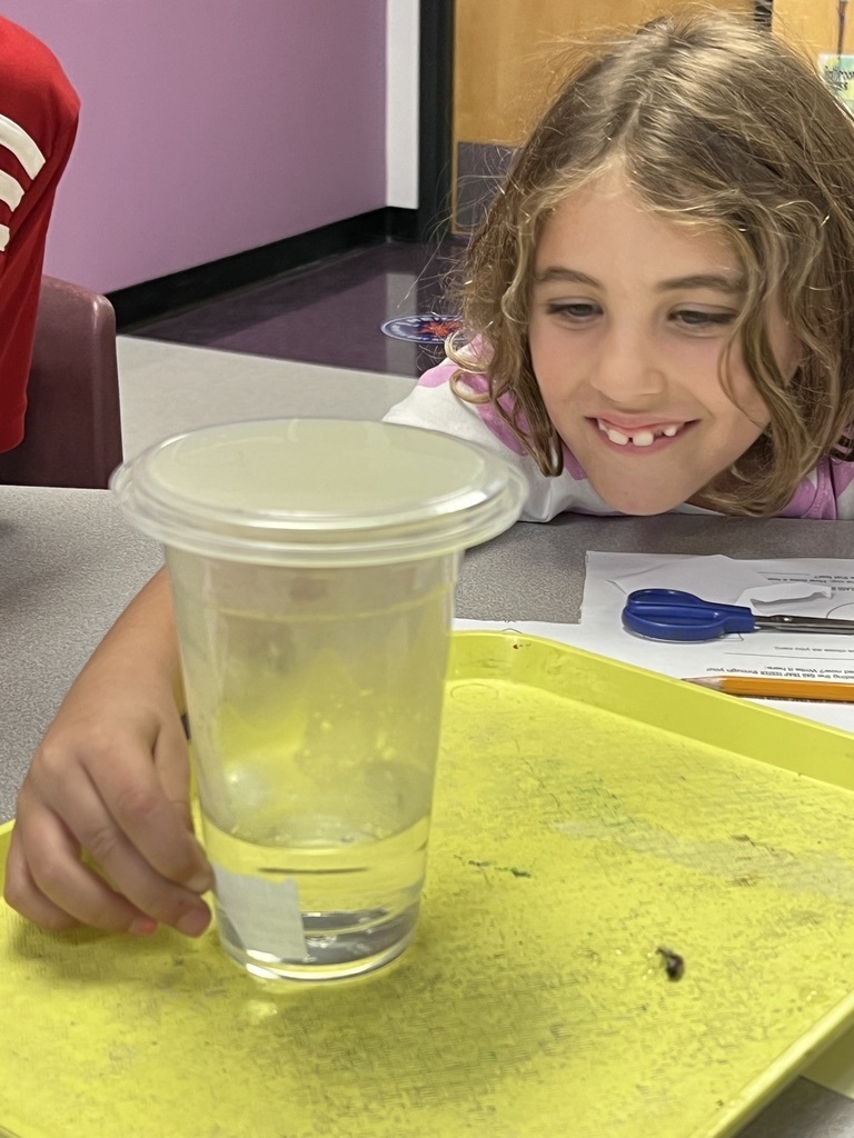 student observes water cycle