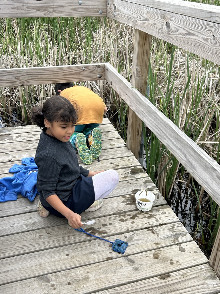 students collect invertebrates from pond