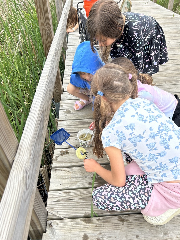 students look at invertebrate