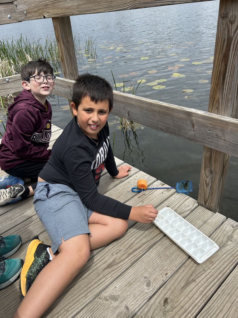 students collect invertebrates from pond