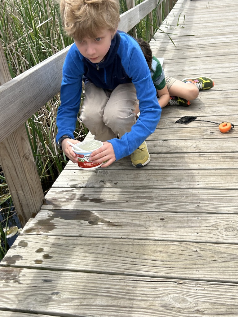 student collects invertebrate