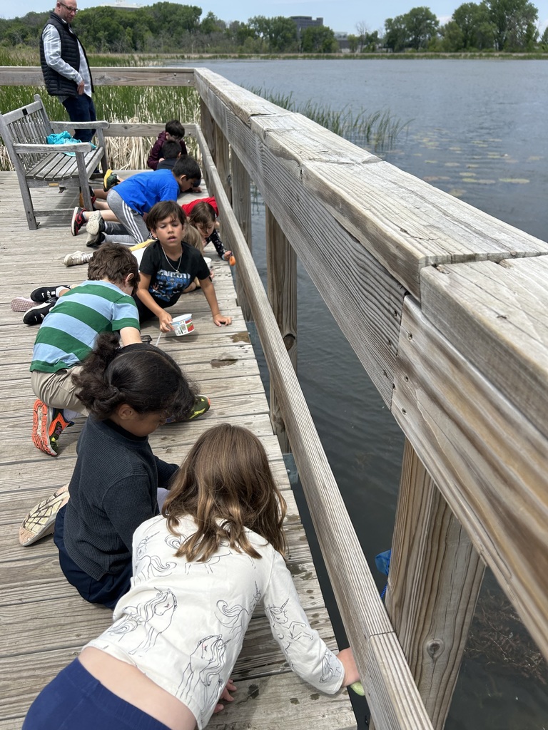 students collect invertebrate
