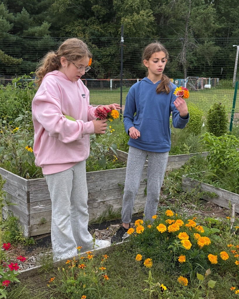 students pick flowers