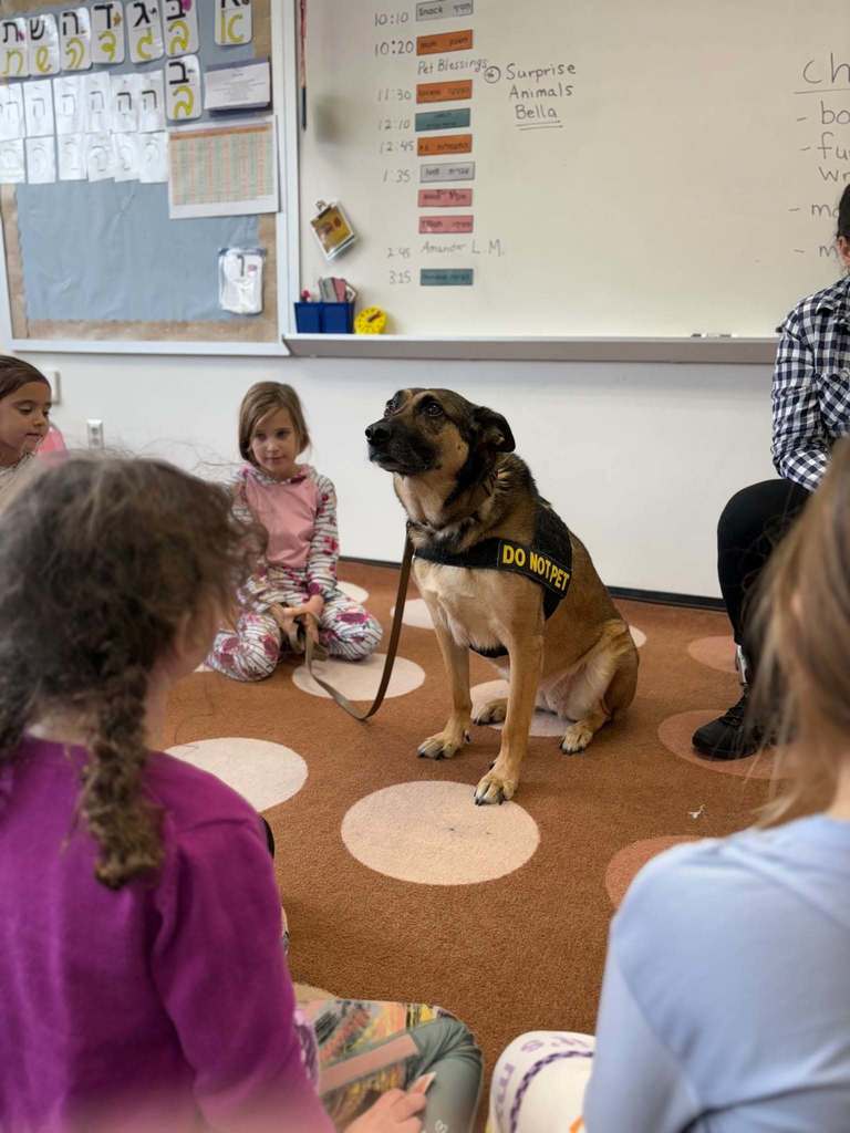 security dog sits with first graders