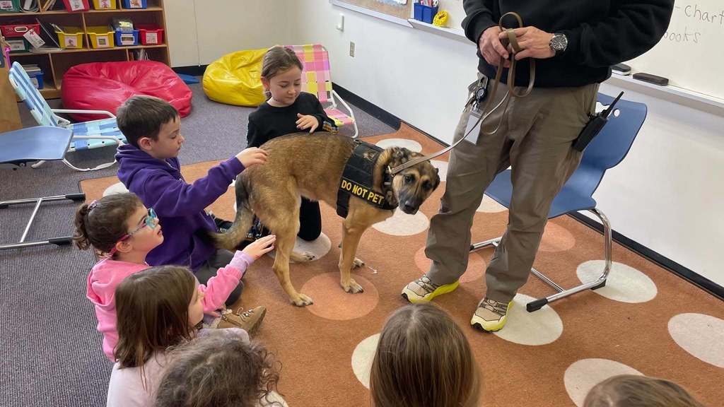 students pet security dog