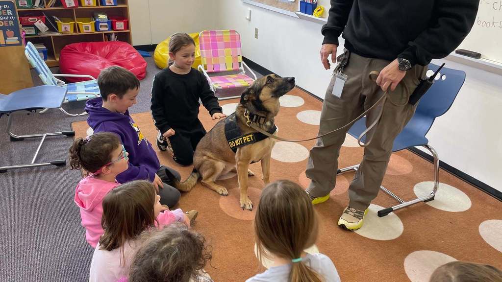 student pets dog