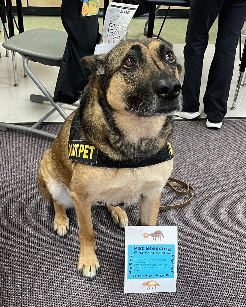 security dog Alfa with her pet blessing from the first graders