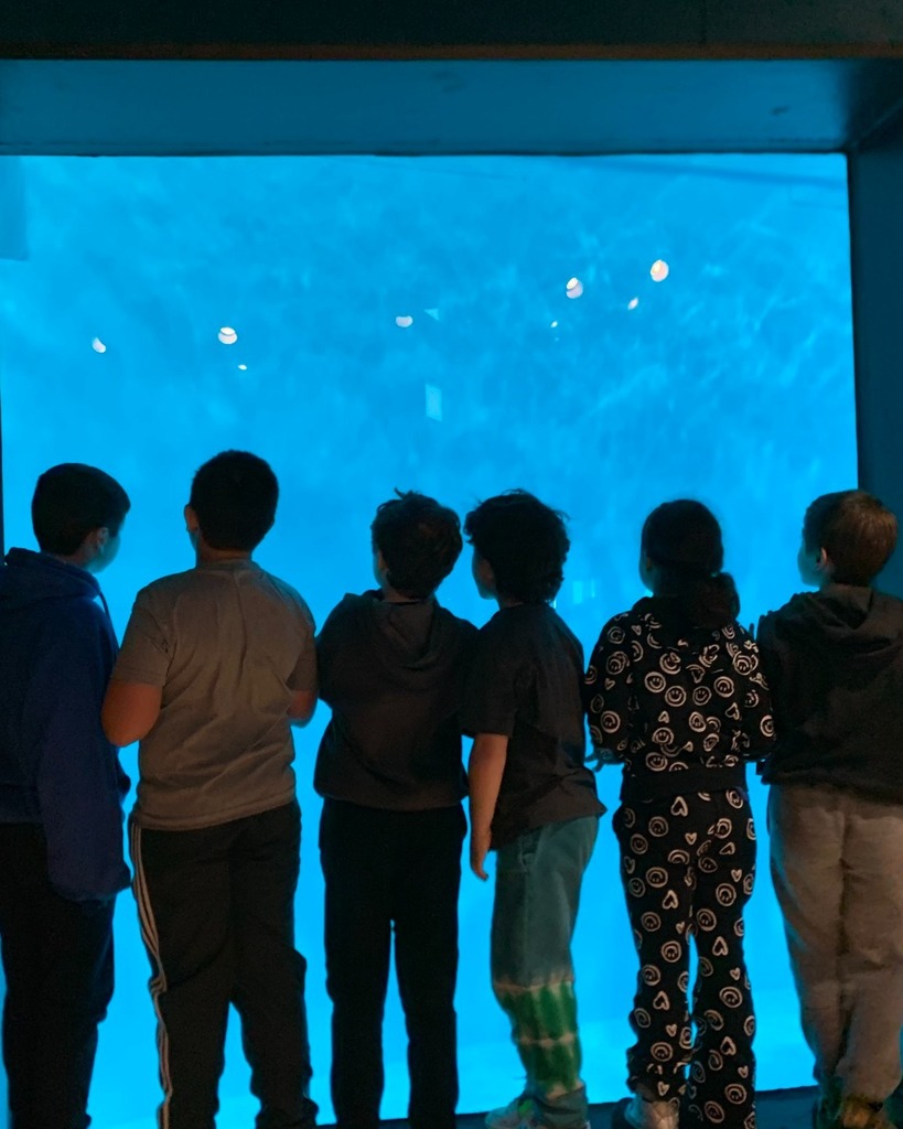 students look into aquarium