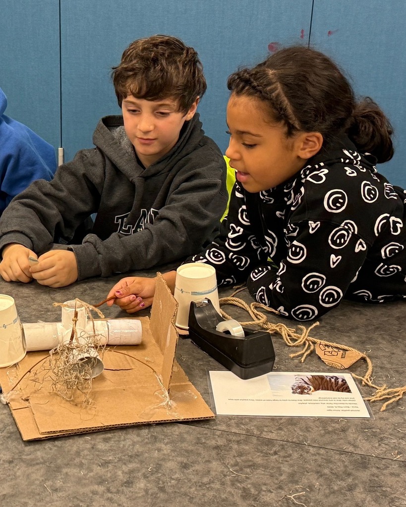 students analyze animal enrichment
