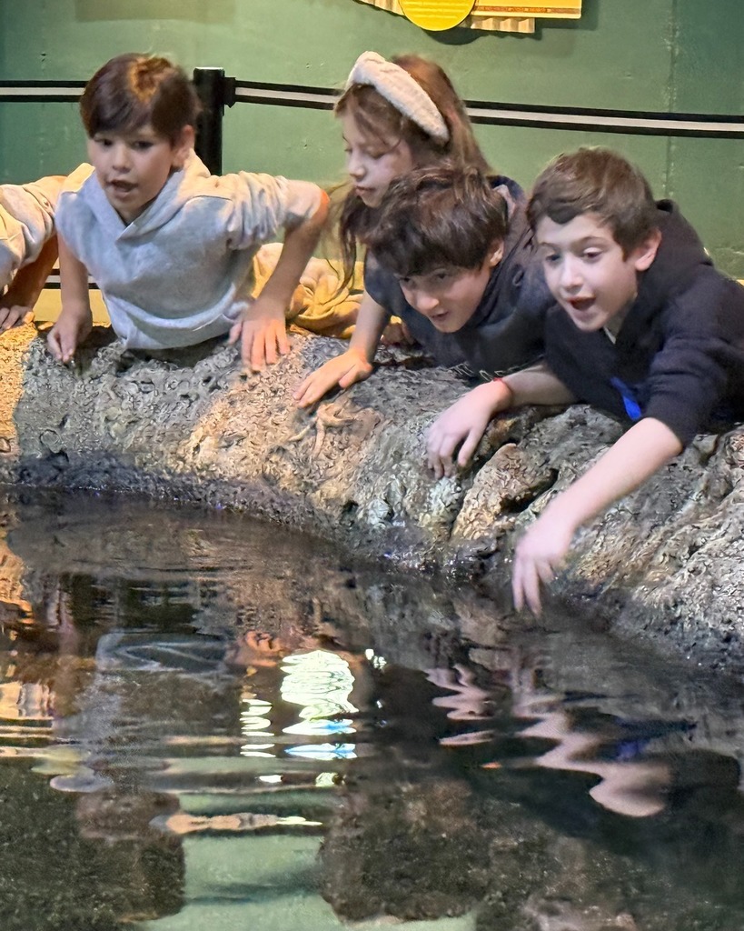 students lean over touch pool