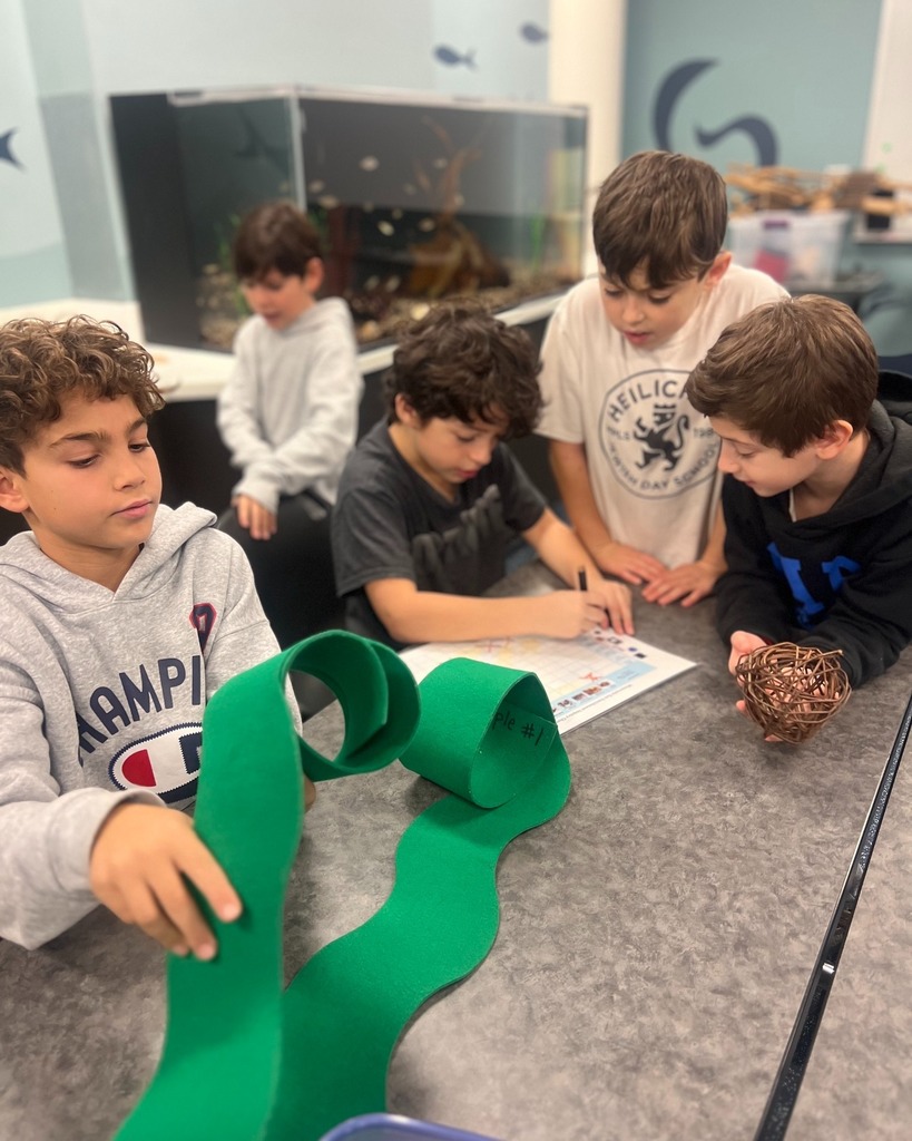 students analyze animal enrichment