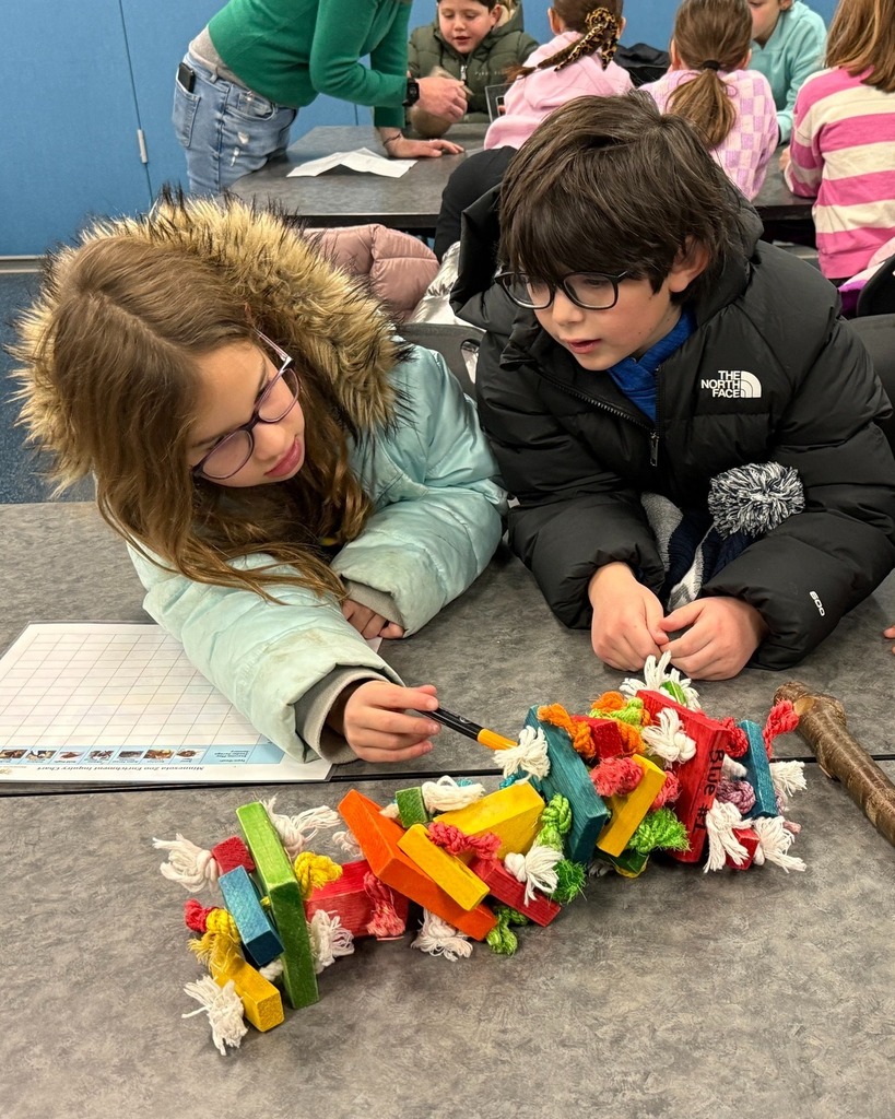 students analyze animal enrichment