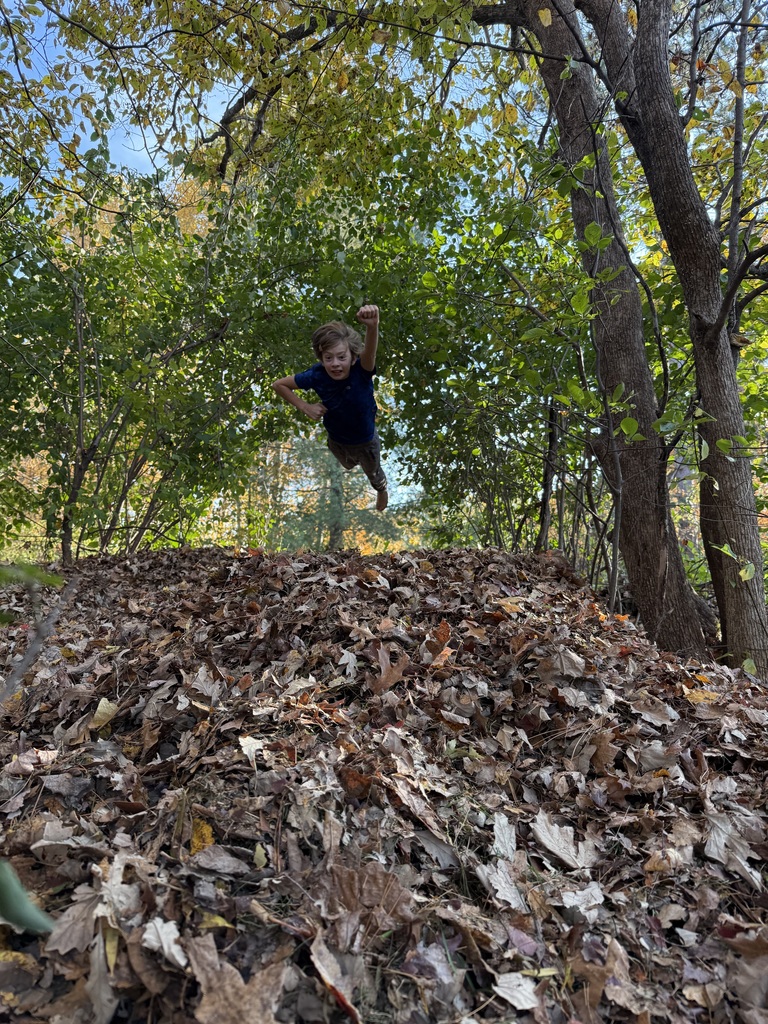 boy jumps with arm extended forward into pile of leaves