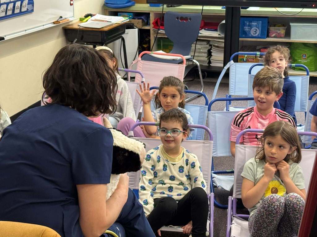 student raises hand as students listen to vet