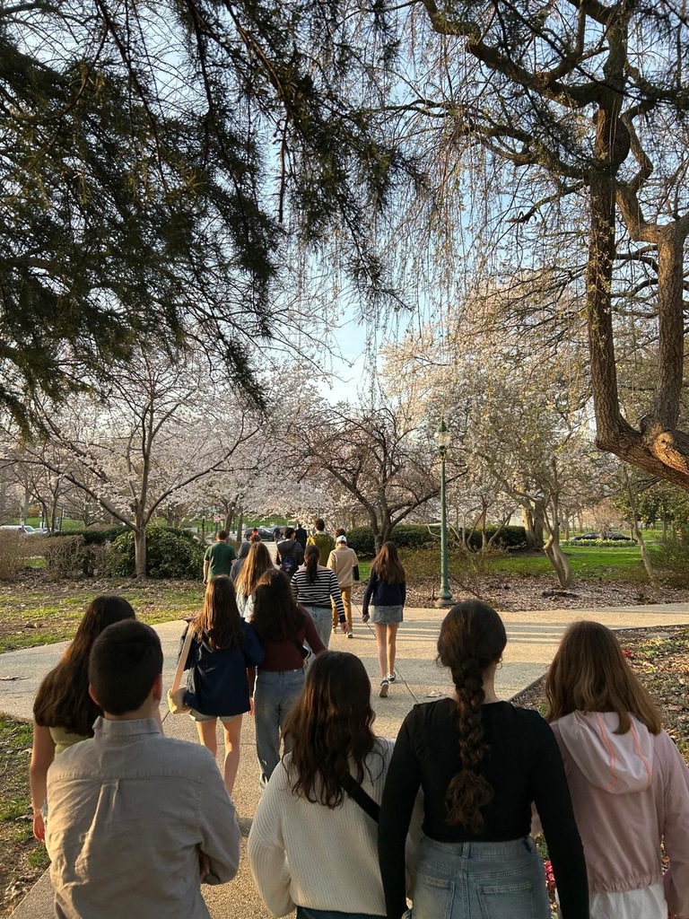 seventh graders walk in D.C.