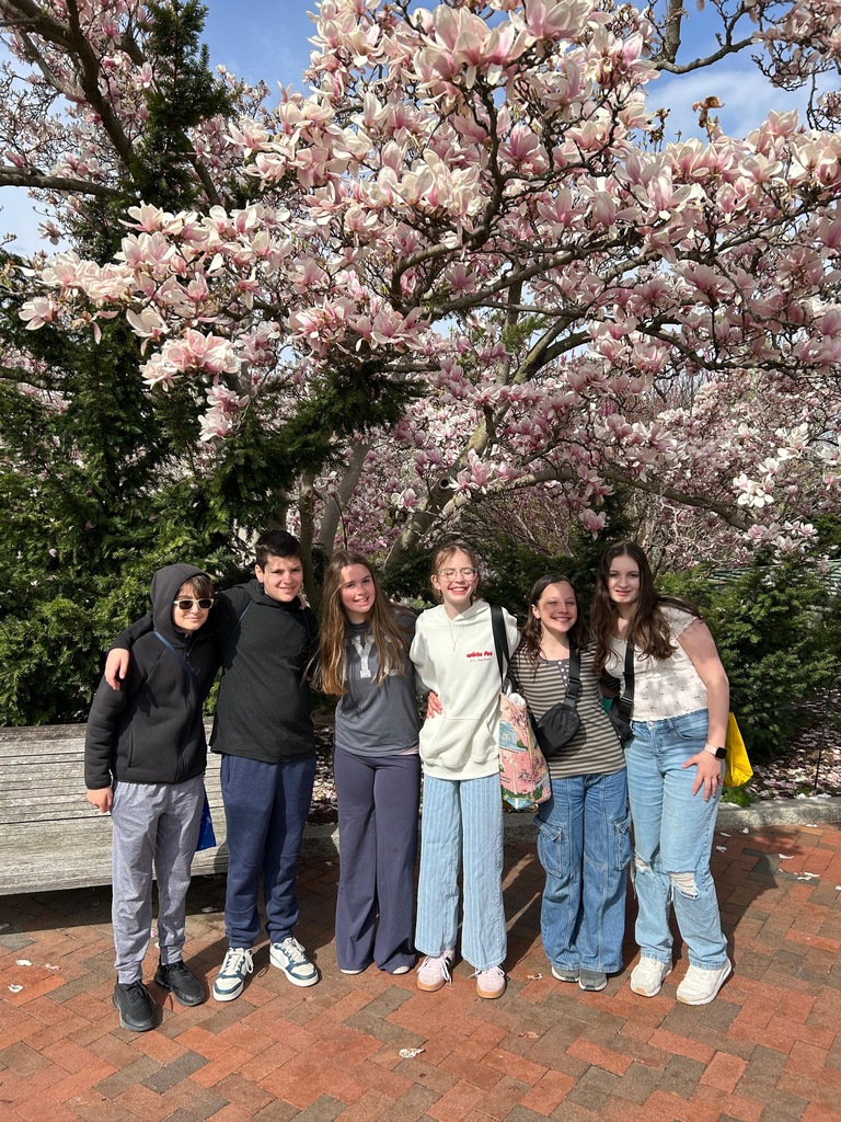 Seventh graders pose in front of cherry blossoms in D.C.