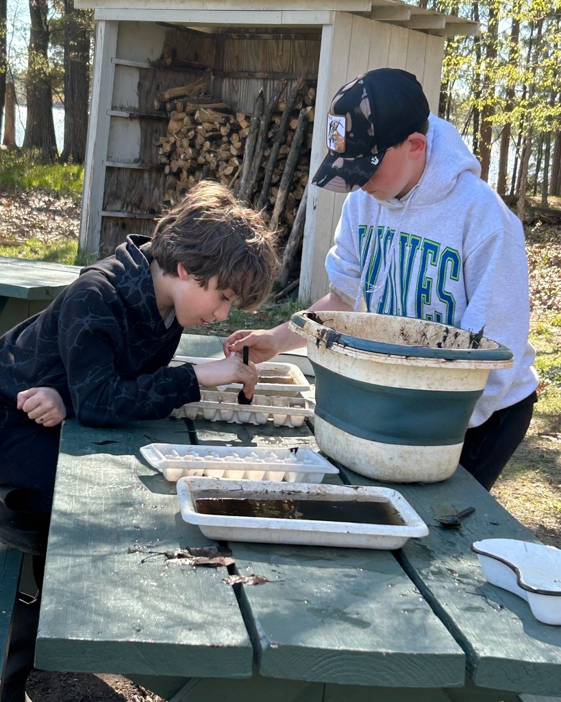 students inspect findings from stream