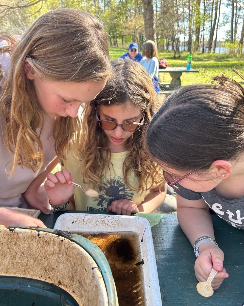 students inspect findings from stream