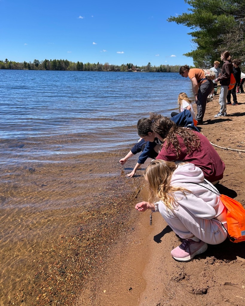 students look for shells and other natural objects at the beach