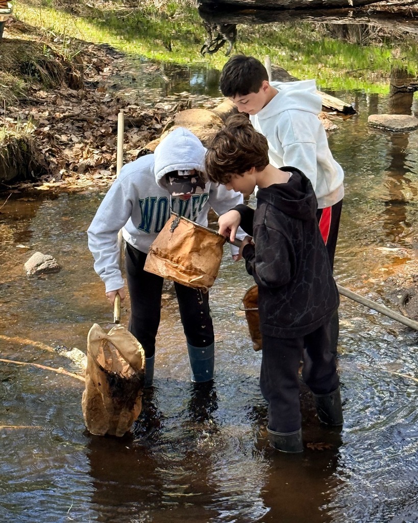 students pan for macroinvertebrates in stream