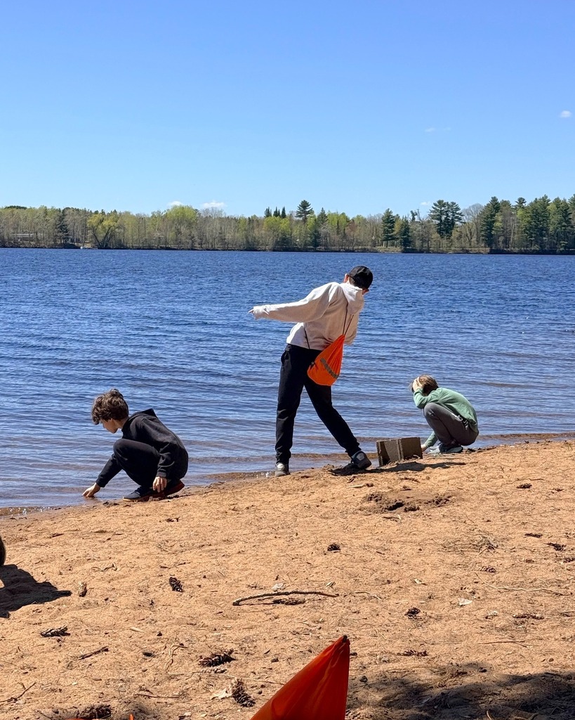 students look for shells and other natural objects at the beach