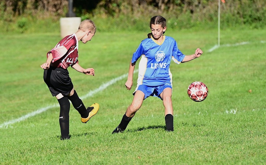 SJA Lions player defends handler
