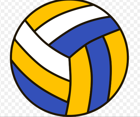 volleyball pic