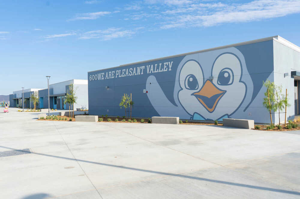 photo of wall with penguin