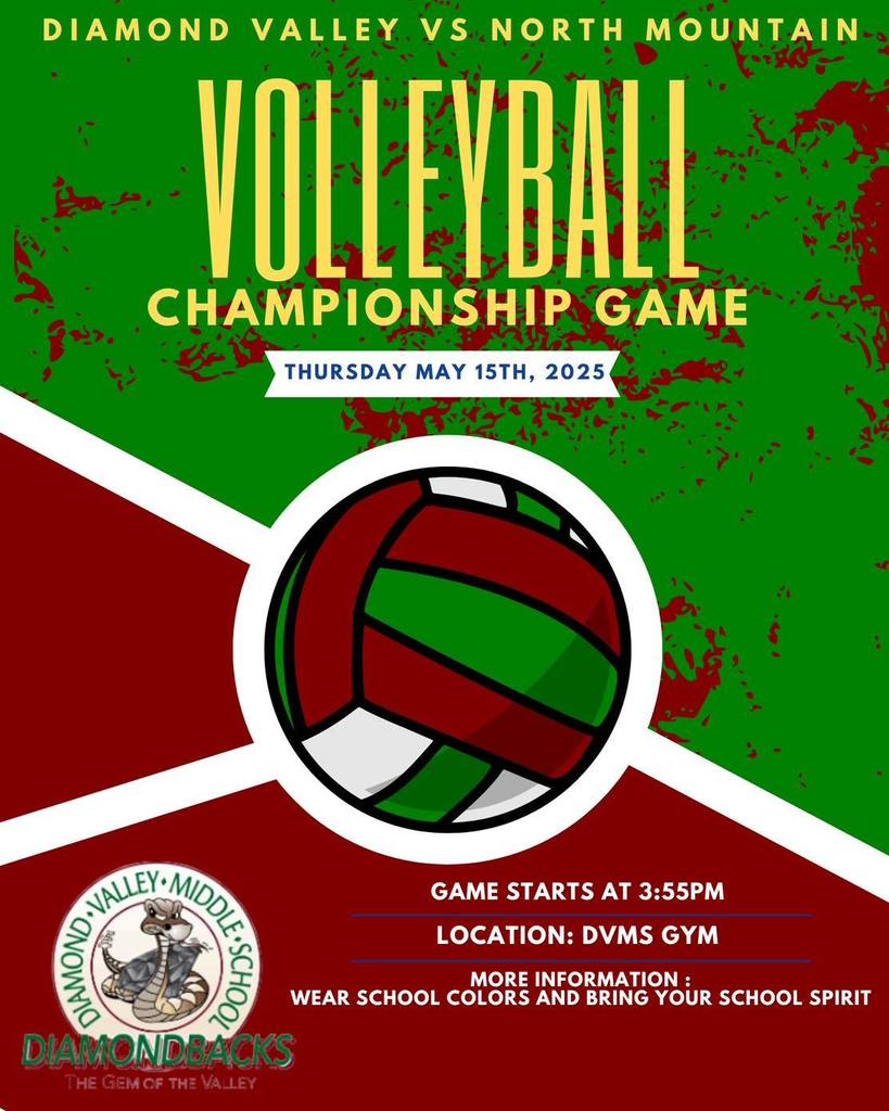 Diamond valley volleyball flyer