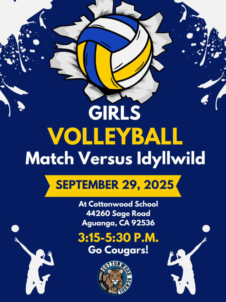 Girls Volleyball Match (3)