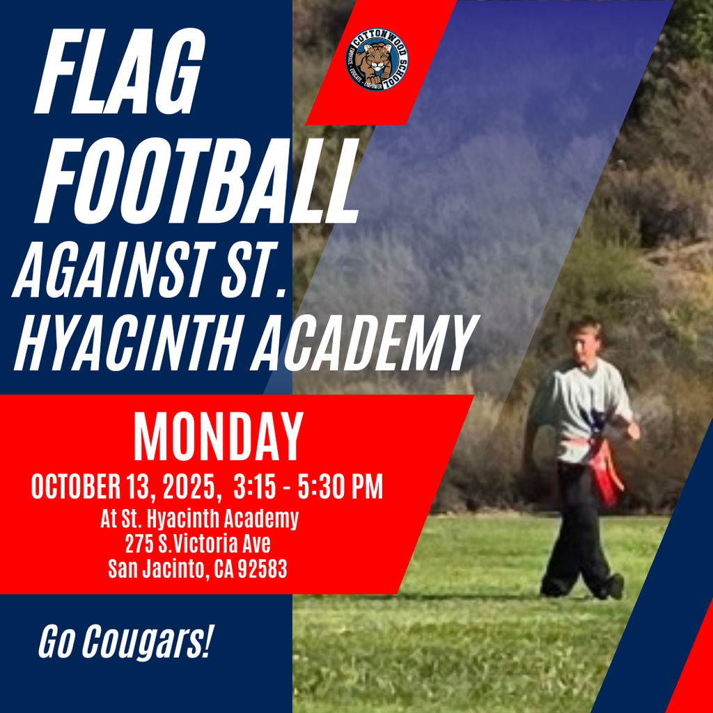 Football Team Games (8)