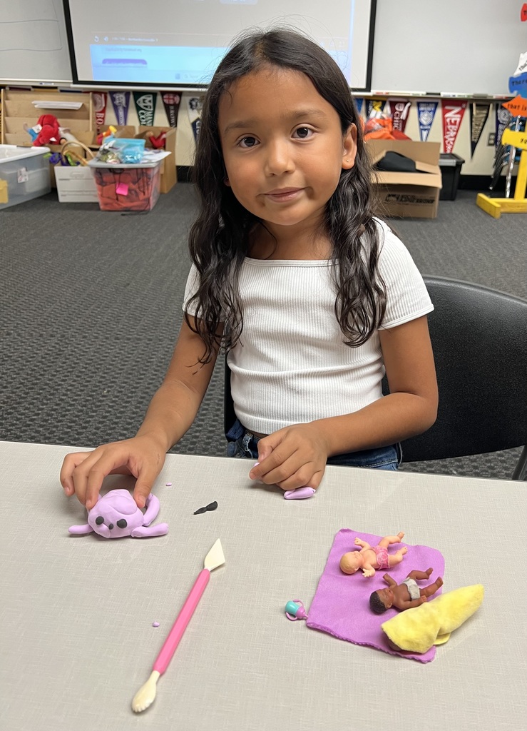 Victoria's Projects