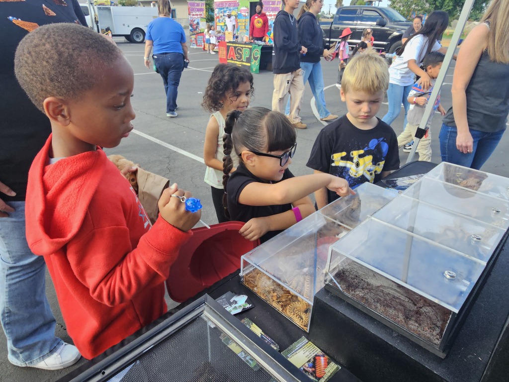 Elementary students engaged in career based activities