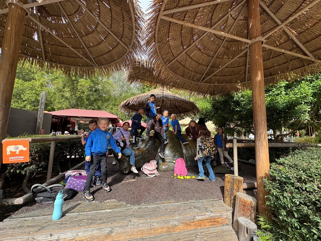 Enjoying the shade