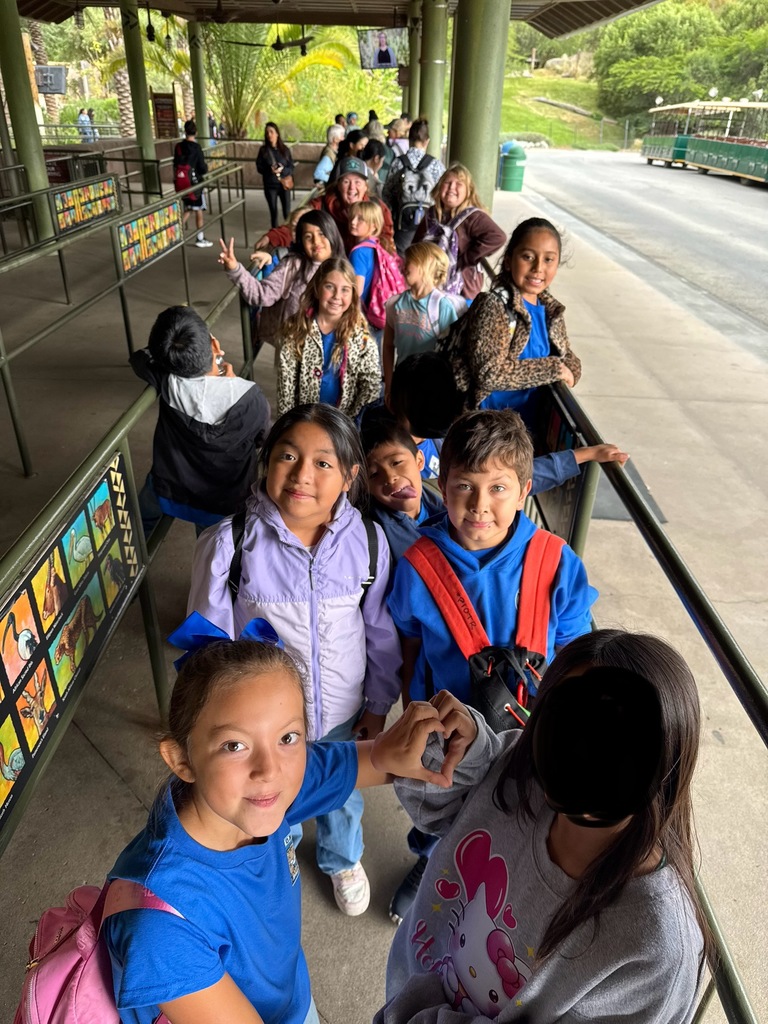 In line for the tram