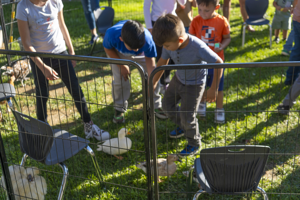 Winchester El - Fall Festival - Birthday_2