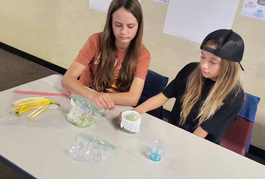 Hailey and Cali getting it down