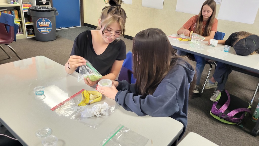 Kaitlyn doing her thing