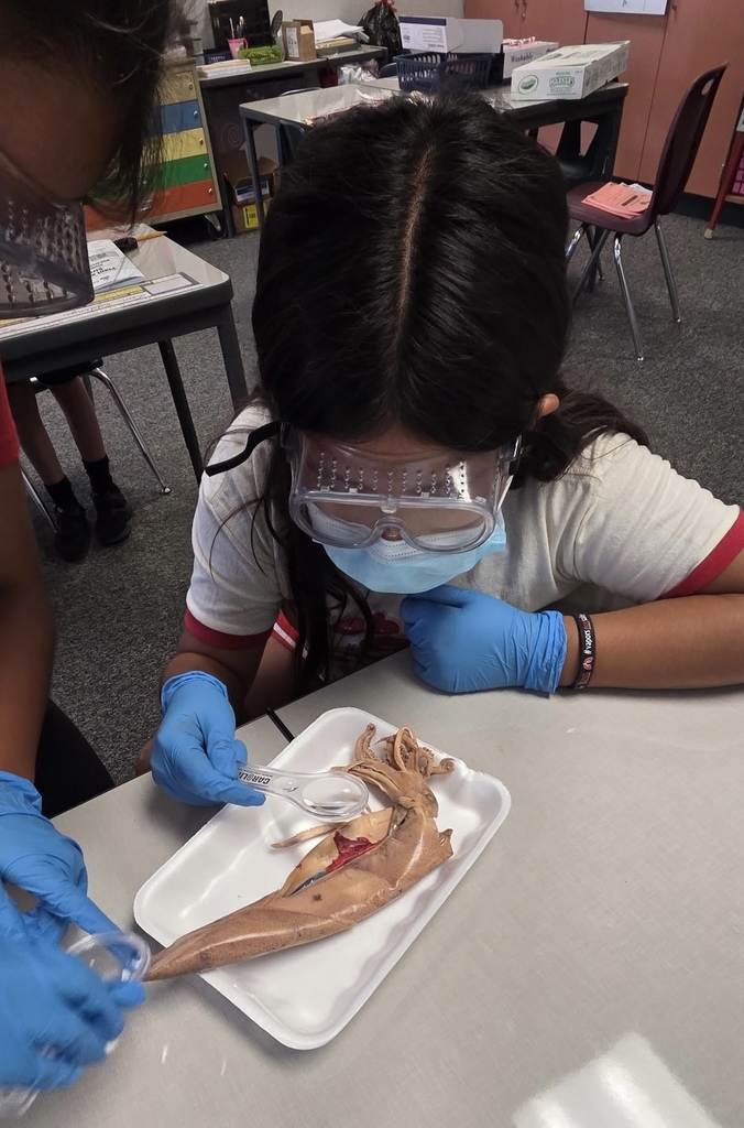 Getting a closer look