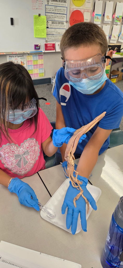 Alexa and her partner 