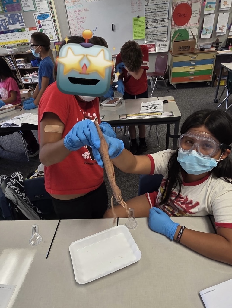 Feeling a little sqreamish