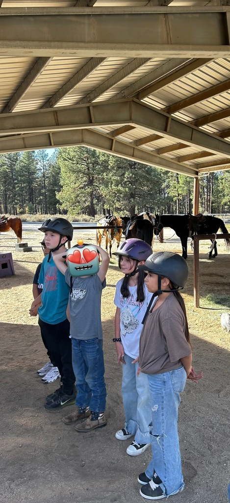 Learning about the horses