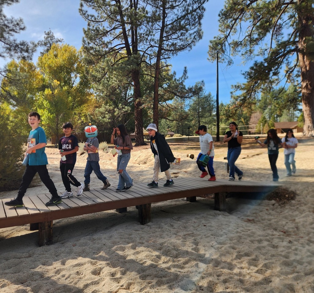 Crossing over the bridge
