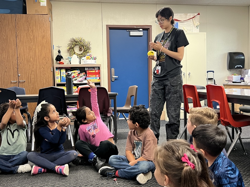 Whole class challenge