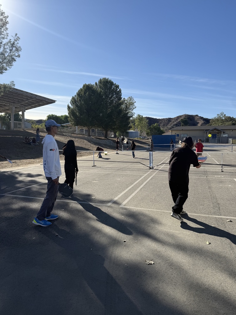 Teaching and supporting Pickle Ball