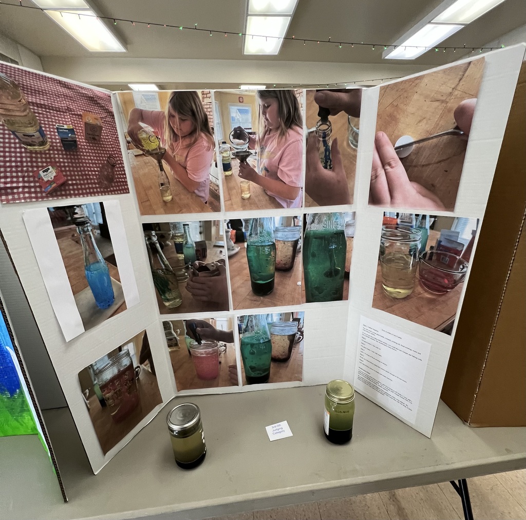 Science Fair Project