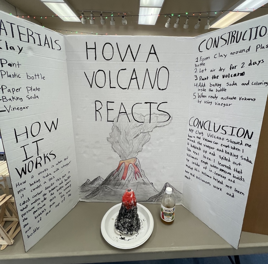 Science Fair Project