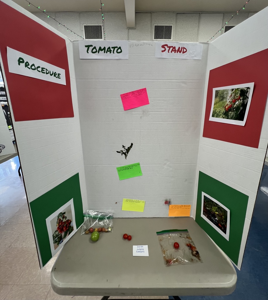 Science Fair Project